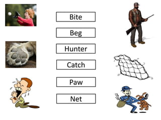 Bite
Beg
Hunter
Catch
Paw
Net
 