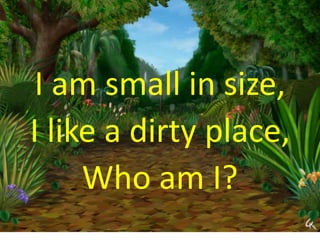 I am small in size,
I like a dirty place,
Who am I?
 