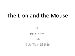 The Lion and the Mouse 497411571  E3A  Elvie Tien  田依芸 