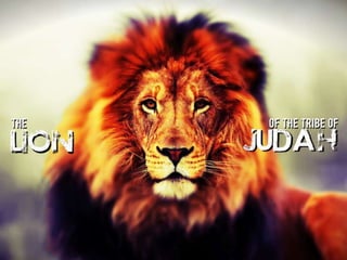 The lion of the tribe of judah