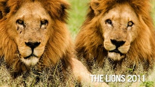 THE LIONS 2011
 