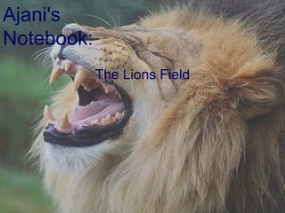 The Lions Field Ajani's Notebook: 