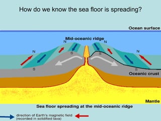How do we know the sea floor is spreading? 