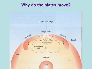 Why do the plates move? 