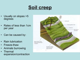 Soil creep Usually on slopes >5 degrees Rates of less than 1cm per year Can be caused by: Rain lubrication Freeze-thaw Animals burrowing Thermal expansion/contraction 