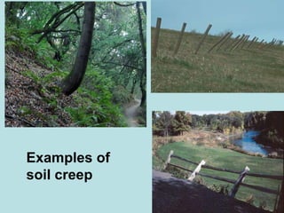 Examples of soil creep 
