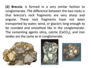 (2) Breccia: is formed in a very similar fashion to
conglomerate. The difference between the two rocks is
that breccia's rock fragments are very sharp and
angular. These rock fragments have not been
transported by water, wind, or glaciers long enough to
be rounded and smoothed like in the conglomerate.
The cementing agents silica, calcite (CaCO3), and iron
oxides are the same as in conglomerate.
 