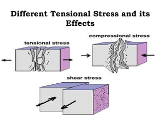 Different Tensional Stress and its
             Effects
 