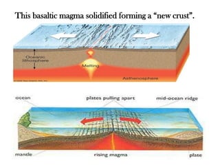 This basaltic magma solidified forming a “new crust”.
 