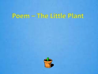 Poem - The little plant ( class 2 )