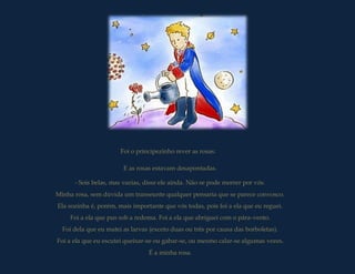 Foi o principezinho rever as rosas:

                        E as rosas estavam desapontadas.

      - Sois belas, mas vazias, disse ele ainda. Não se pode morrer por vós.
Minha rosa, sem dúvida um transeunte qualquer pensaria que se parece convosco.
Ela sozinha é, porém, mais importante que vós todas, pois foi a ela que eu reguei.
    Foi a ela que pus sob a redoma. Foi a ela que abriguei com o pára-vento.
  Foi dela que eu matei as larvas (exceto duas ou três por causa das borboletas).
Foi a ela que eu escutei queixar-se ou gabar-se, ou mesmo calar-se algumas vezes.
                                 É a minha rosa.
 