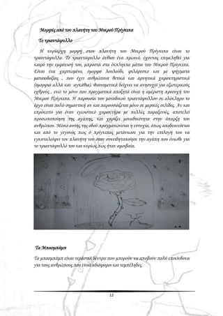 12
Μορφές από τον πλανήτη του Μικρού Πρίγκιπα
Το τριαντάφυλλο
Η κυρίαρχη μορφή στον πλανήτη του Μικρού Πρίγκιπα είναι το
τριαντάφυλλο. Το τριαντάφυλλο άνθισε ένα πρωινό, έχοντας επιμεληθεί για
καιρό την εμφάνισή του, μπροστά στα έκπληκτα μάτια του Μικρού Πρίγκιπα.
Είναι ένα χαριτωμένο, όμορφο λουλούδι, φιλάρεσκο και με ψήγματα
ματαιοδοξίας , που έχει ανθρώπινα θετικά και αρνητικά χαρακτηριστικά
(ομορφιά αλλά και αγκάθια). Φαινομενικά δείχνει να ανησυχεί για εξωτερικούς
εχθρούς , ενώ το μόνο που πραγματικά αποζητά είναι η αμέριστη προσοχή του
Μικρού Πρίγκιπα. Η παρουσία του μοναδικού τριαντάφυλλου σε ολόκληρο το
έργο είναι πολύ σημαντική αν και παρουσιάζεται μόνο σε μερικές σελίδες. Αν και
επρόκειτο για έναν εγωιστικό χαρακτήρα με πολλές παραξενιές, αποτελεί
προσωποποίηση της αγάπης, και χαρίζει μοναδικότητα στην ύπαρξη του
ανθρώπου. Μέσω αυτής της οδού πραγματώνεται η ευτυχία, όπως αποδεικνύεται
και από το γεγονός πως ο πρίγκιπας μετάνιωσε για την επιλογή του να
εγκαταλείψει τον πλανήτη του όταν συνειδητοποίησε την αγάπη που ένιωθε για
το τριαντάφυλλό του και κυρίως πως ήταν αμοιβαία.
Τα Μπαομπάμπ
Τα μπαομπάμπ είναι τεράστια δέντρα που μπορούν να αποβούν πολύ επικίνδυνα
για τους ανθρώπους που είναι αδιάφοροι και τεμπέληδες.
 