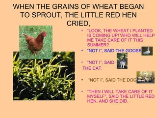 WHEN THE GRAINS OF WHEAT BEGAN
TO SPROUT, THE LITTLE RED HEN
CRIED,
• “LOOK, THE WHEAT I PLANTED
IS COMING UP! WHO WILL HELP
ME TAKE CARE OF IT THIS
SUMMER?
• “NOT I”, SAID THE GOOSE”.
• “NOT I”, SAID
THE CAT.
• “NOT I”, SAID THE DOG.
• “THEN I WILL TAKE CARE OF IT
MYSELF”, SAID THE LITTLE RED
HEN. AND SHE DID.
 