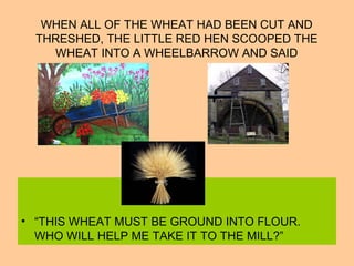 WHEN ALL OF THE WHEAT HAD BEEN CUT AND
THRESHED, THE LITTLE RED HEN SCOOPED THE
WHEAT INTO A WHEELBARROW AND SAID
• “THIS WHEAT MUST BE GROUND INTO FLOUR.
WHO WILL HELP ME TAKE IT TO THE MILL?”
 