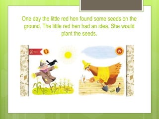 One day the little red hen found some seeds on the
ground. The little red hen had an idea. She would
plant the seeds.
 