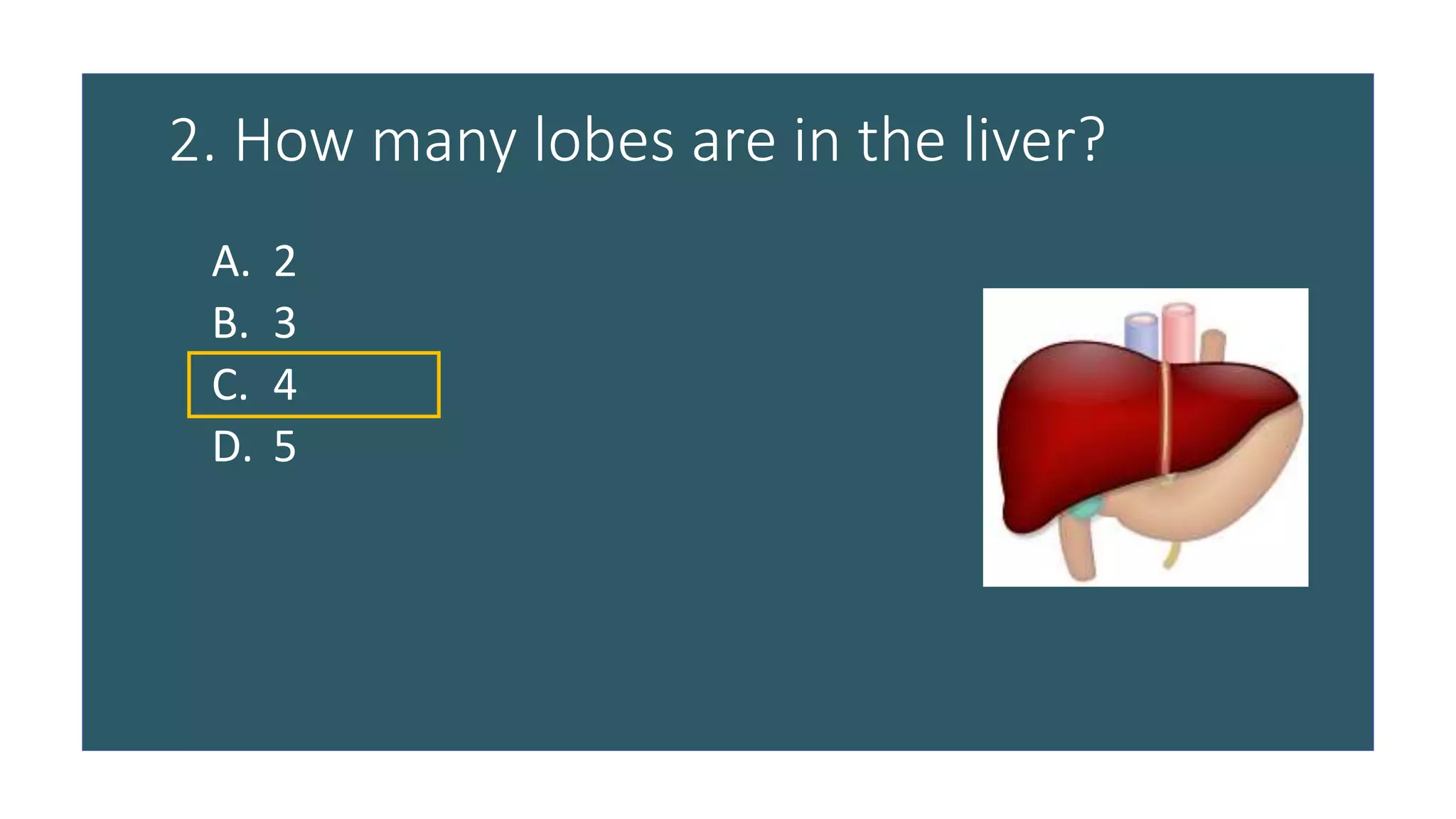 Anatomy visual data 8