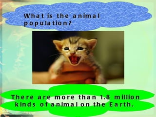 What is the animal population?   There are more than 1.8 million  kinds of animal on the Earth.  