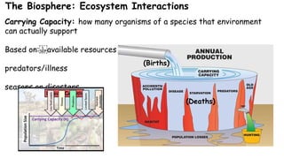 Comprehensive Overview of Earth's Biosphere and Ecological Interactions ...