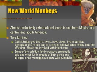 New World MonkeysAlmost exclusively arboreal and found in southern Mexico and central and south America.Two families:Callitrichidae give birth to twins, have claws, live in families composed of a mated pair or a female and two adult males, plus the offspring.  Males are involved with infant care.Some of the cebidae family possess prehensile                             tails and most live in groups of both sexes and                                 all ages, or as monogamous pairs with subadults