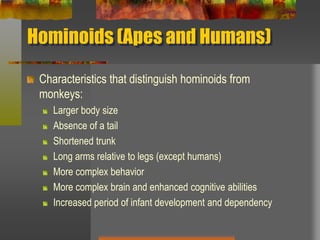 Hominoids (Apes and Humans)Characteristics that distinguish hominoids from monkeys:Larger body size Absence of a tailShortened trunkLong arms relative to legs (except humans)More complex behaviorMore complex brain and enhanced cognitive abilitiesIncreased period of infant development and dependency