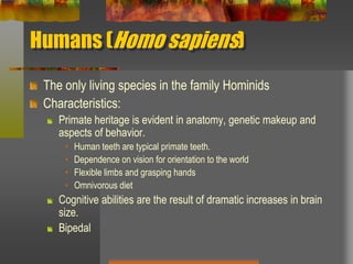 Humans (Homo sapiens)The only living species in the family HominidsCharacteristics:Primate heritage is evident in anatomy, genetic makeup and aspects of behavior.Human teeth are typical primate teeth.Dependence on vision for orientation to the worldFlexible limbs and grasping handsOmnivorous dietCognitive abilities are the result of dramatic increases in brain size.Bipedal