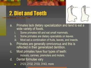 2. Diet and TeethPrimates lack dietary specialization and tend to eat a wide variety of foods. Some primates kill and eat small mammals.Some primates are dietary specialists on leaves.Most eat a combination of fruits, leaves, and insects.Primates are generally omnivorous and this is reflected in their generalized dentition.Most primates have four types of teeth:	incisors, canines, premolars and molars.Dental formulae vary2123, 2132, 2133, 3143, more