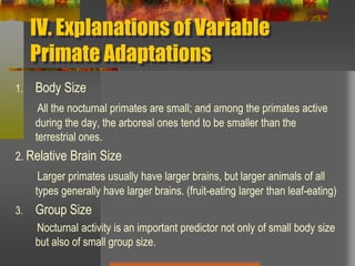 IV. Explanations of Variable  Primate AdaptationsBody SizeAll the nocturnal primates are small; and among the primates active during the day, the arboreal ones tend to be smaller than the terrestrial ones.2. Relative Brain SizeLarger primates usually have larger brains, but larger animals of all types generally have larger brains. (fruit-eating larger than leaf-eating)Group Size        Nocturnal activity is an important predictor not only of small body size but also of small group size.