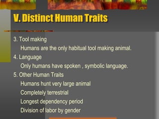 V. Distinct Human Traits3. Tool making     Humans are the only habitual tool making animal.4. Language     Only humans have spoken , symbolic language.5. Other Human Traits     Humans hunt very large animal     Completely terrestrial     Longest dependency period     Division of labor by gender