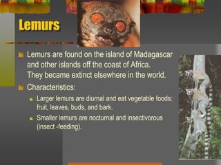 LemursLemurs are found on the island of Madagascar and other islands off the coast of Africa. They became extinct elsewhere in the world.Characteristics:Larger lemurs are diurnal and eat vegetable foods: fruit, leaves, buds, and bark.Smaller lemurs are nocturnal and insectivorous (insect -feeding).
