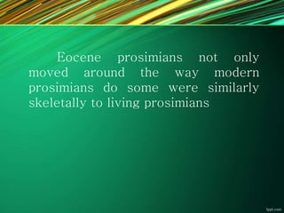 Eocene prosimians not only
moved around the way modern
prosimians do some were similarly
skeletally to living prosimians
 