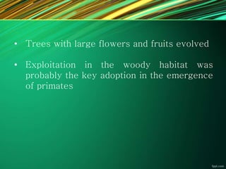 • Trees with large flowers and fruits evolved
• Exploitation in the woody habitat was
probably the key adoption in the emergence
of primates
 
