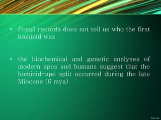 • Fossil records does not tell us who the first
hominid was
• the biochemical and genetic analyses of
modern apes and humans suggest that the
hominid-ape split occurred during the late
Miocene (6 mya)
 