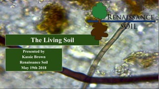 The Living Soil
Presented by
Kassie Brown
Renaissance Soil
May 19th 2018
 