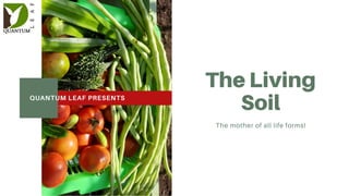 The Living
Soil
The mother of all life forms!
QUANTUM LEAF PRESENTS
 