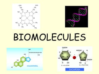 BIOMOLECULES
 