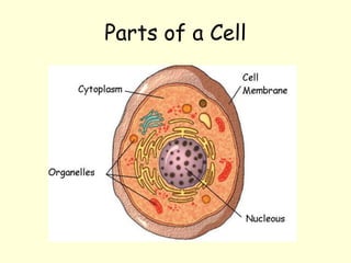 Parts of a Cell
 