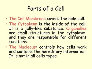 Parts of a Cell
• The Cell Membrane covers the hole cell.
• The Cytoplasm is the inside of the cell.
It is a jelly-like substance. Organelles
are small structures in the cytoplasm,
and they are responsible for different
functions.
• The Nucleous: controls how cells work
and contains the hereditary information.
It is not in all cells types.
 