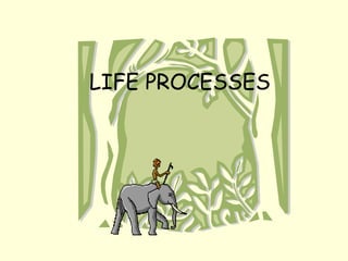 LIFE PROCESSES
 