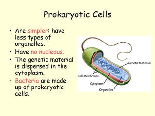 Prokaryotic Cells
• Are simpler: have
less types of
organelles.
• Have no nucleous.
• The genetic material
is dispersed in the
cytoplasm.
• Bacteria are made
up of prokaryotic
cells.
 