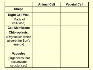 Animal Cell Vegetal Cell
Shape
Rigid Cell Wall
(Made of
cellulose)
Cell Membrane
Chloroplasts.
(Organelles which
absorb the Sun’s
energy)
Vacuoles
(Organelles that
accumulate
substances)
 