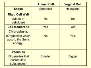 Animal Cell Vegetal Cell
Shape Spherical Hexagonal
Rigid Cell Wall
(Made of
cellulose)
No Yes
Cell Membrane Yes Yes
Chloroplasts.
(Organelles which
absorb the Sun’s
energy)
No Yes.
Vacuoles
(Organelles that
accumulate
substances)
Smaller Bigger
 
