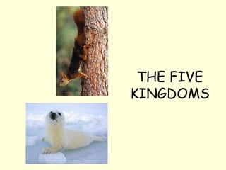 THE FIVE
KINGDOMS
 