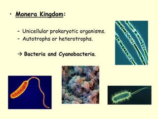 • Monera Kingdom:
– Unicellular prokaryotic organisms.
– Autotrophs or heterotrophs.
 Bacteria and Cyanobacteria.
 