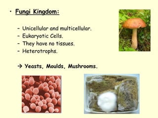 • Fungi Kingdom:
– Unicellular and multicellular.
– Eukaryotic Cells.
– They have no tissues.
– Heterotrophs.
 Yeasts, Moulds, Mushrooms.
 