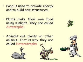 • Food is used to provide energy
and to build new structures.
• Plants make their own food
using sunlight. They are called
Autotrophs.
• Animals eat plants or other
animals. That is why they are
called Heterotrophs.
 