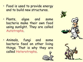 • Food is used to provide energy
and to build new structures.
• Plants, algae and some
bacteria make their own food
using sunlight. They are called
Autotrophs.
• Animals, fungi and some
bacteria feed on other living
things. That is why they are
called Heterotrophs.
 