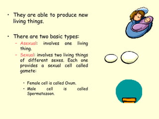 • They are able to produce new
living things.
• There are two basic types:
– Asexual: involves one living
thing.
– Sexual: involves two living things
of different sexes. Each one
provides a sexual cell called
gamete:
• Female cell is called Ovum.
• Male cell is called
Spermatozoon.
 