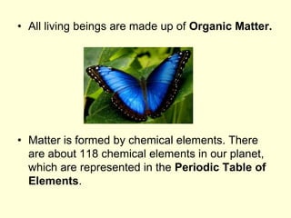 • All living beings are made up of Organic Matter.
• Matter is formed by chemical elements. There
are about 118 chemical elements in our planet,
which are represented in the Periodic Table of
Elements.
 