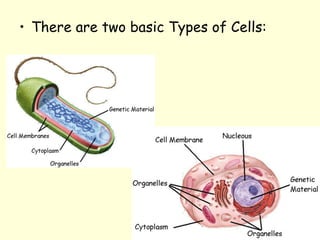 • There are two basic Types of Cells:
 