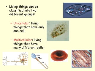 • Living things can be
classified into two
different groups:
– Unicellular: living
things that have only
one cell.
– Multicellular: living
things that have
many different cells.
 